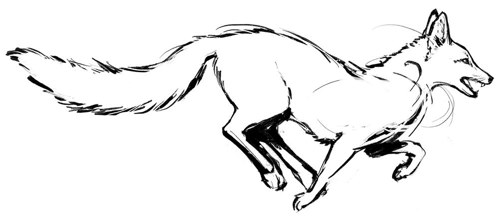 A Fox; By: @ashworksco